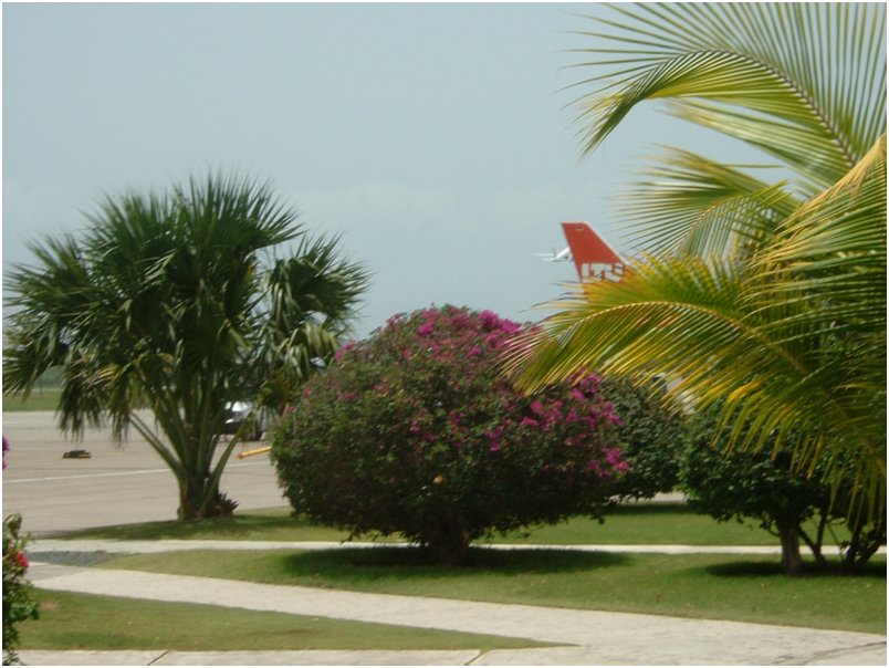 Flight (24)